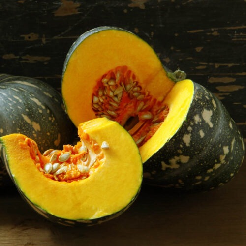 Pumpkin - Sienna F1
